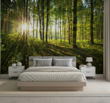 Tapete wald goldene sonnenstrahlen wälder - TenStickers