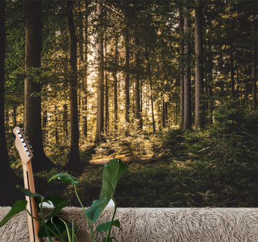 Tapete wald heller waldweg - TenStickers