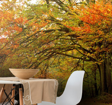 Tapete wald herbstliche waldansicht - TenStickers