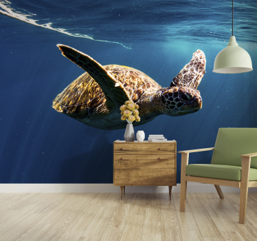 Schildkröte unterwasser Tierfototapete - TenStickers