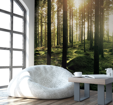 Fototapete Wohnzimmer sonnenbeschienener wald - TenStickers