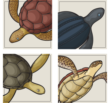 Untersetzer geek mit bunten schildkrötenmotiven - TenStickers