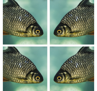 Untersetzer geek mit realistischer fischdarstellung - TenStickers