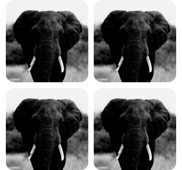 Vintage untersetzer mit monochromen elefantenporträts - TenStickers