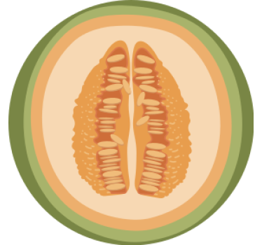 Untersetzer geek mit obstscheiben-motiven - TenStickers