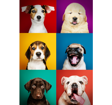 Hunde-Poster Hund und Welpe - TenStickers