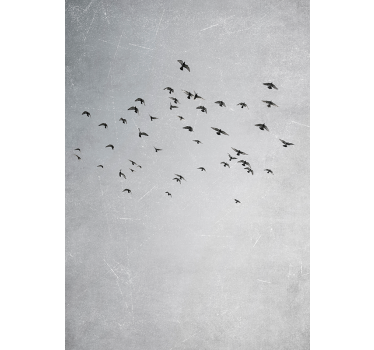 Poster Tiere Vögel fliegen - TenStickers
