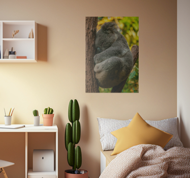 Poster Teenagerzimmer Koala Design - TenStickers