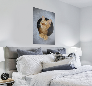 Poster Neugierde ist der Katze Tod - TenStickers