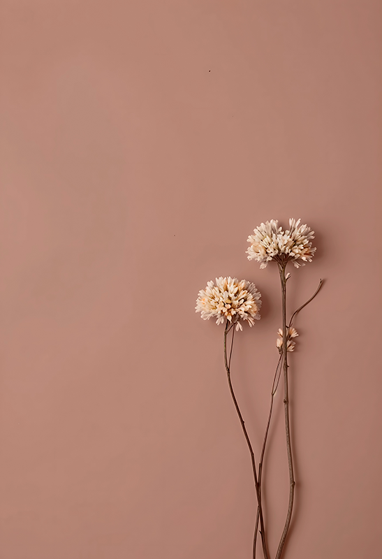 Minimalistisches Poster getrocknete blumen - TenStickers