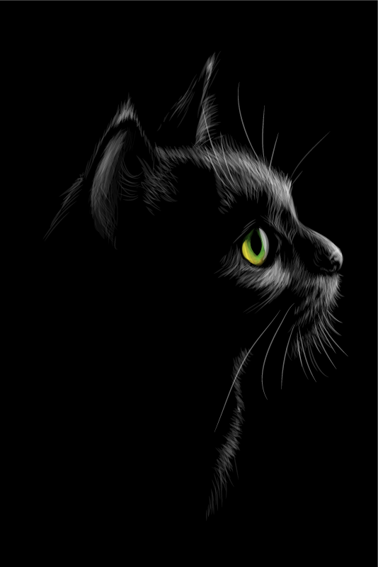 Poster wohnzimmer katzen mit grünen augen - TenStickers