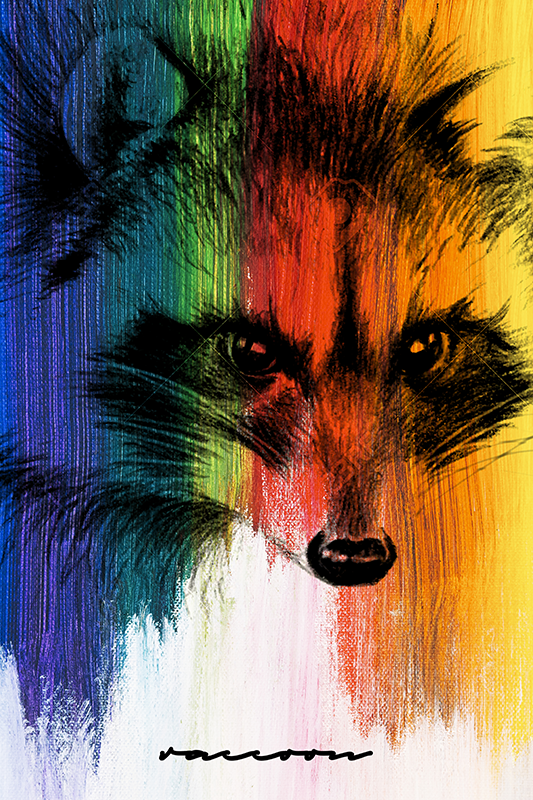Poster wohnzimmer regenbogenwaschbär - TenStickers