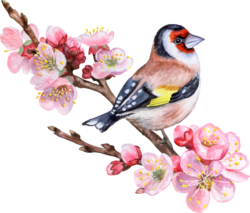 Poster baum frühlingszweige mit vögeln - TenStickers