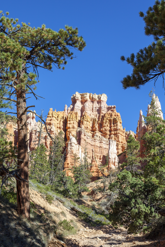 Poster landschaft bryce canyon - TenStickers