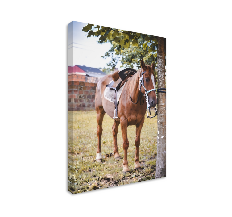 Pferde leinwand elegantes braunes pferd - TenStickers