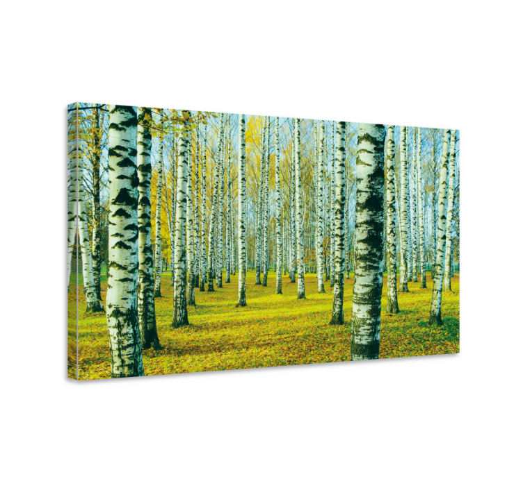 Wandbild Baum herbst birkenwald - TenStickers