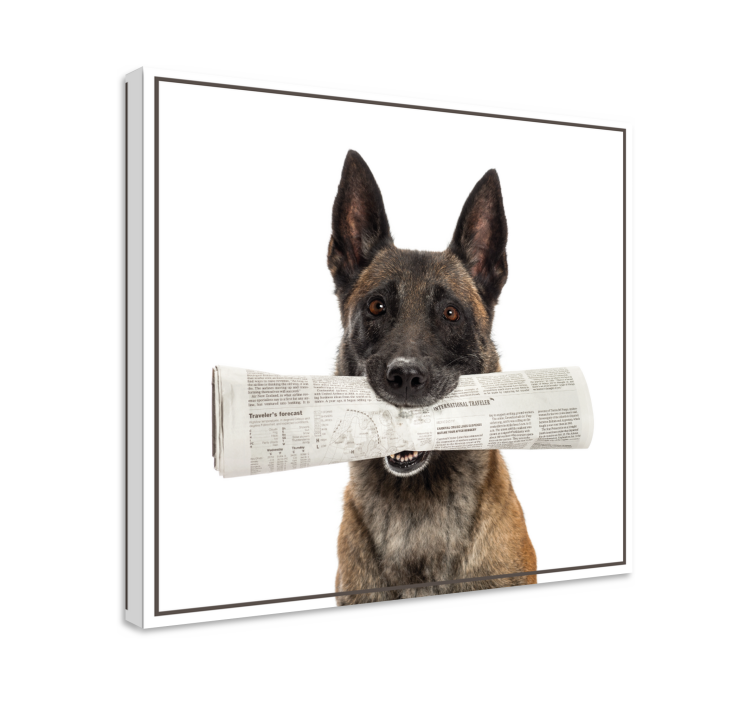 Wandbilder hunde mit zeitung tragendem hund - TenStickers
