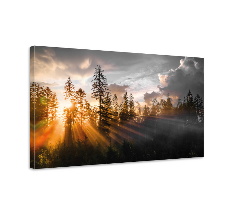 Wandbilder Landschaft Wald mit nebel und sonne - TenStickers