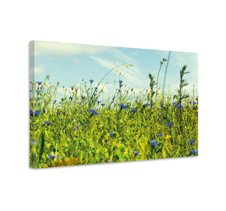 Leinwandbild wildblumenwiese szene - TenStickers