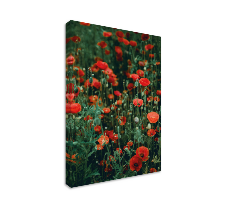 Leinwandbild rotes blumenfeld - TenStickers