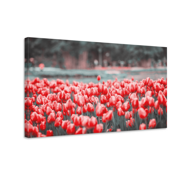 Leinwandbild lebhaftes tulpenfeld - TenStickers