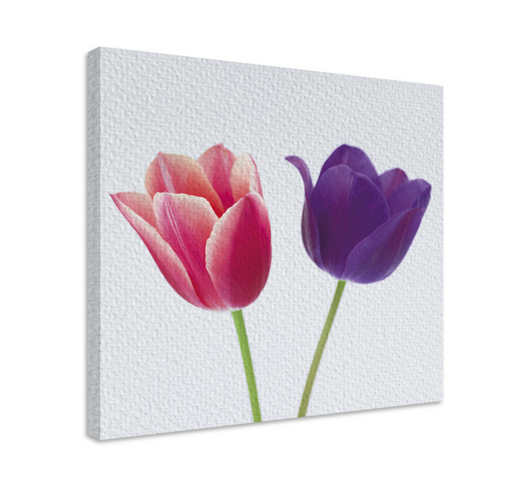 Leinwandbild tulpenarrangement - TenStickers