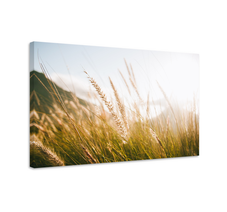 Leinwandbild goldene grasfelder - TenStickers