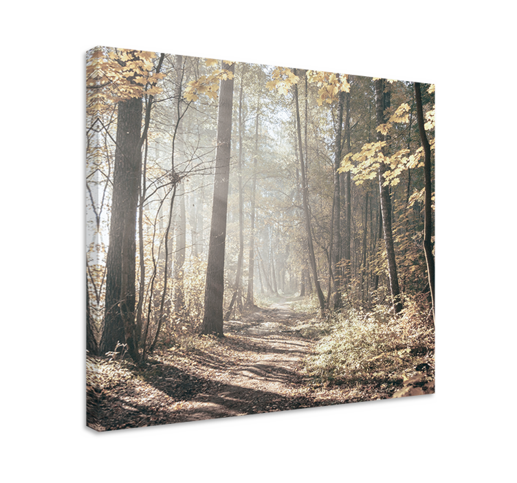 Wandbilder landschaft nebelbedeckter weg - TenStickers