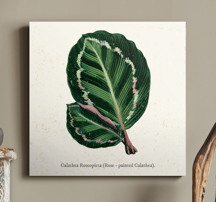 Leinwand Pflanzen calathea-blattillustration - TenStickers