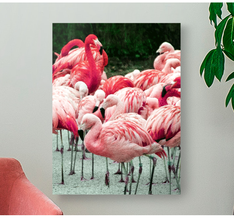 Wandbilder hunde flamingo schwarm - TenStickers