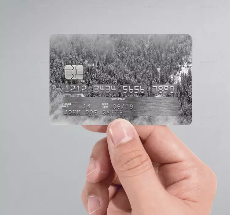 Kreditkartenaufkleber Winterwald - TenStickers