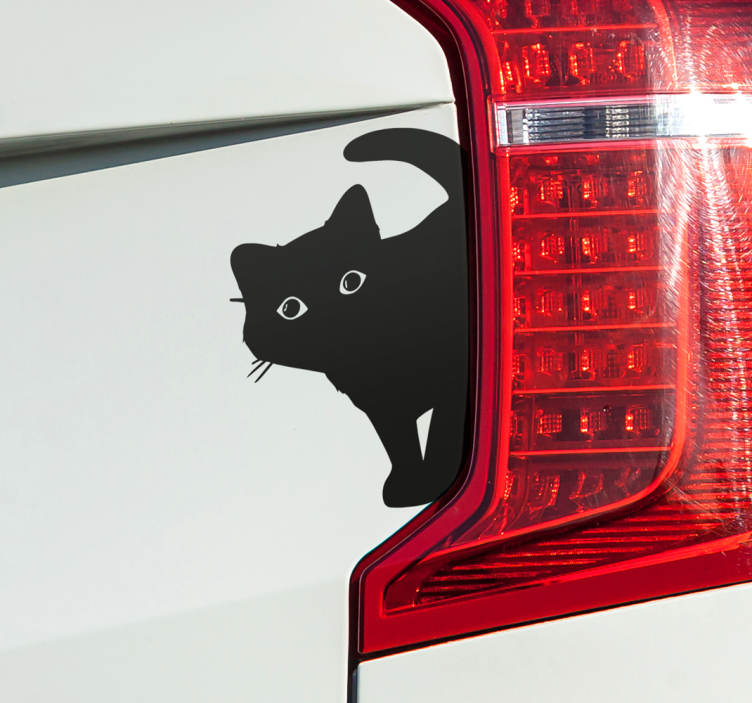Autoaufkleber neugierige katze - TenStickers