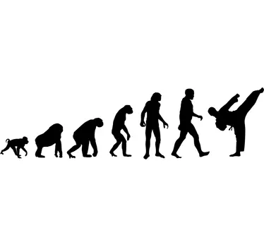 Wandtattoo Evolution Karate - TenStickers