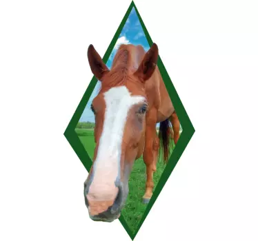 Wandtattoo Bauernhof Pferdekopf - TenStickers