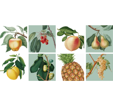 Wandtattoo Früchte Frische Früchte - TenStickers