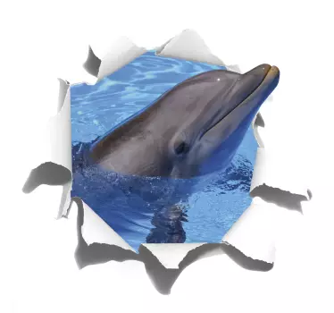 Delphin visuelle effekte wandaufkleber - TenStickers