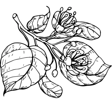 Wandtattoo blumen blattgruppe - TenStickers