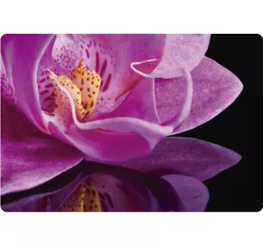 Rosa Orchidee Laptopaufkleber - TenStickers