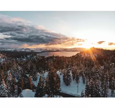 Wandtattoo natur üppige waldlandschaft - TenStickers