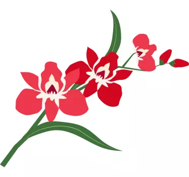 Wandtattoo blumen orchideenblüten komposition - TenStickers