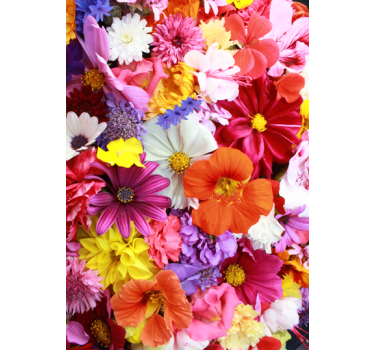 Bunte Blumen Kühlschrank Folie - TenStickers