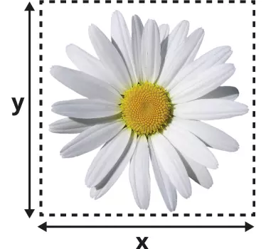 Gänseblümchen Lichtschalter Aufkleber - TenStickers