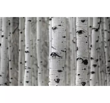 Wandtattoo natur birkenwald szene - TenStickers