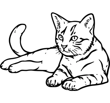 Wandtattoo Katze Umrisse - TenStickers