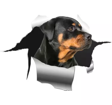 Haustier Aufkleber Rottweiler Loch Aufkleber - TenStickers