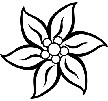 Edelweißblüte Wandtattoo Wohnzimmer - TenStickers