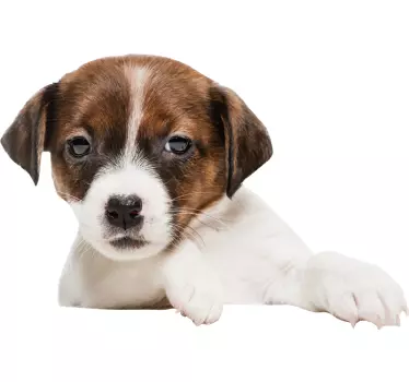 Auto Aufkleber Hund schaut nach draußen - TenStickers