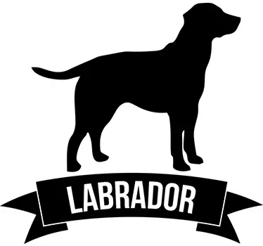 Autoaufkleber Hund Labrador - TenStickers