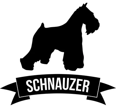 Autoaufkleber Hund Schnauzer - TenStickers