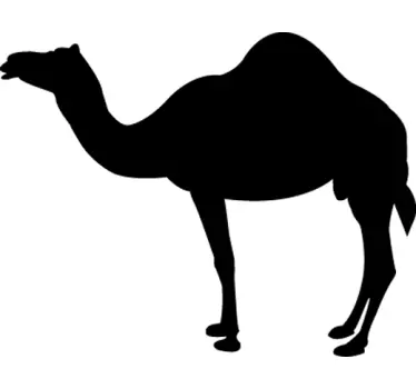 Kamel Sticker - TenStickers